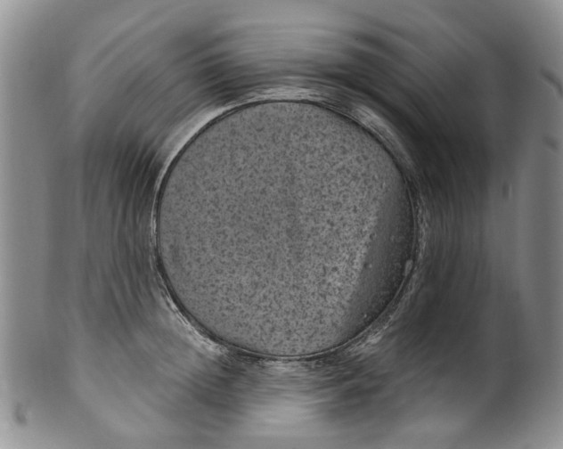 X0000100420852200806271505
