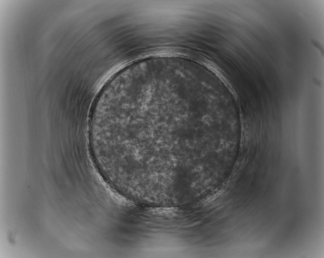 X0000100420853200806271505