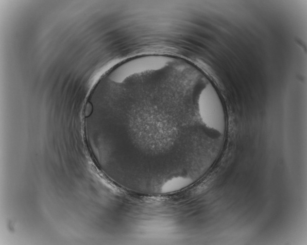 X0000100420854200806271505