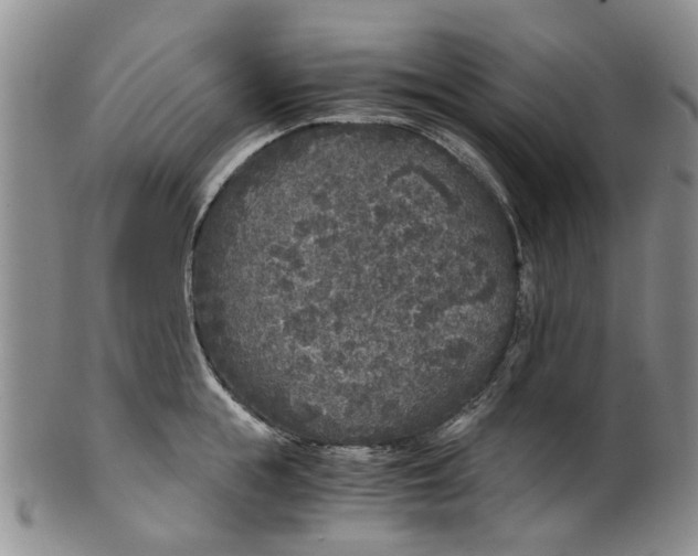 X0000100420855200806271505