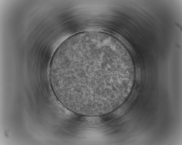 X0000100420856200806271505