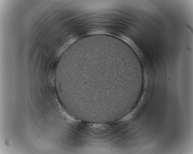 X0000100420857200806271505