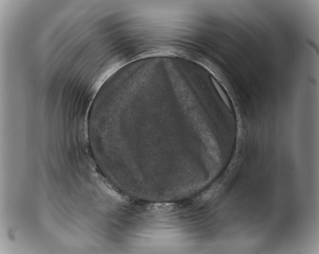 X0000100420858200806271505