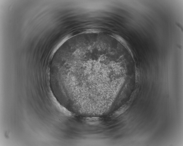 X0000100420859200806271505