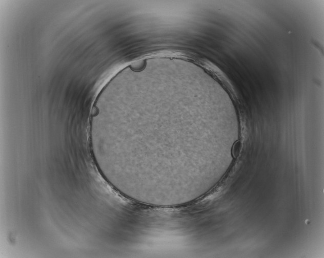 X0000100420860200806271505