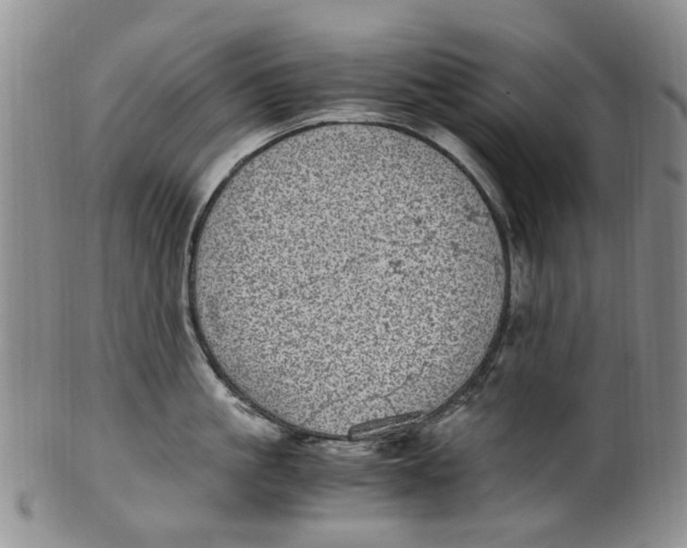 X0000100420861200806271505