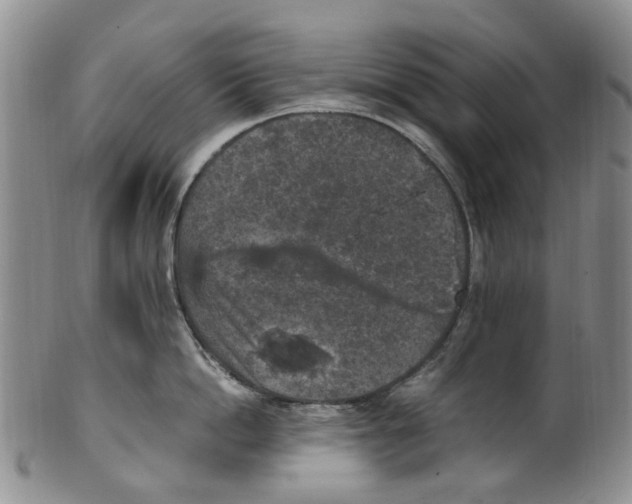 X0000100420862200806271505