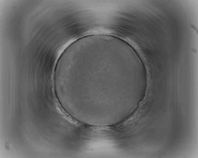 X0000100420864200806271505