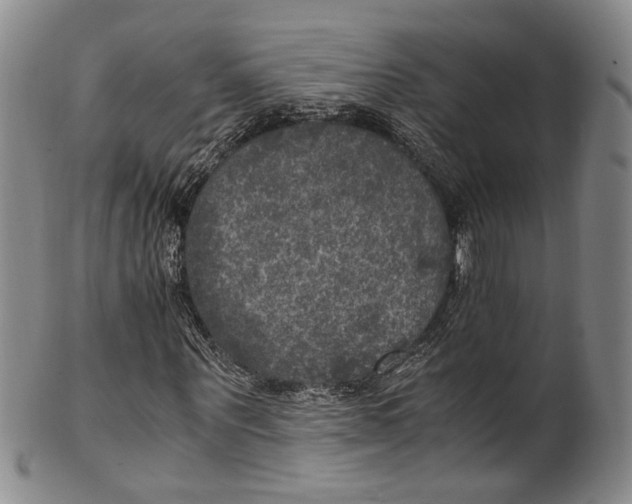 X0000100420867200806271504