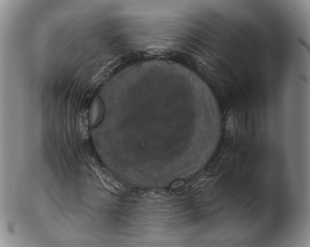 X0000100420868200806271504