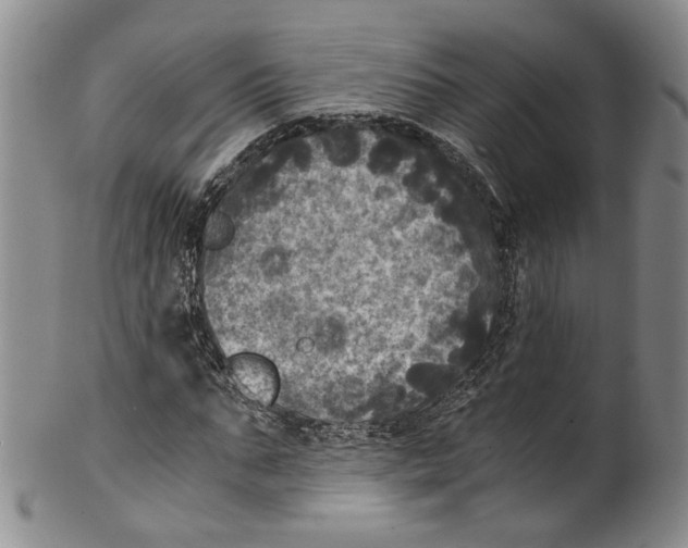 X0000100420871200806271504