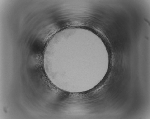 X0000100420873200806271504