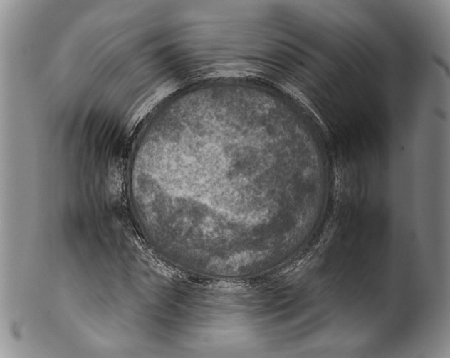 X0000100420874200806271504