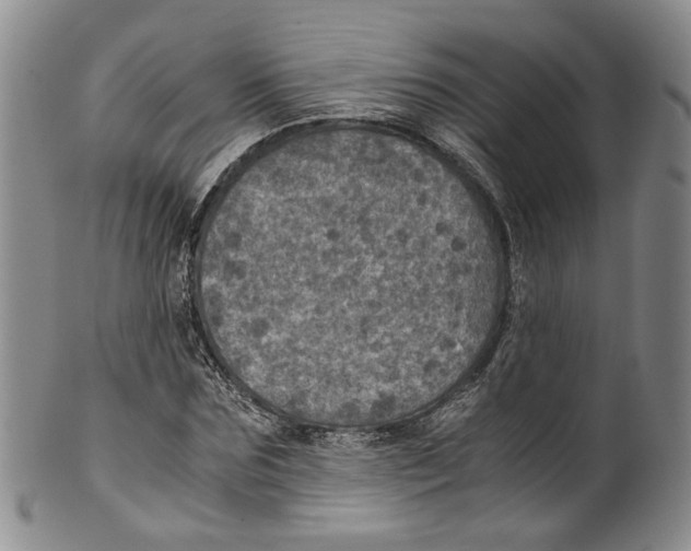 X0000100420875200806271504