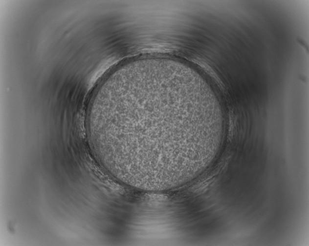 X0000100420878200806271504