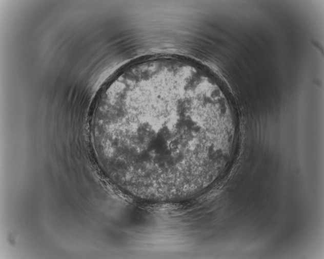 X0000100420879200806271504