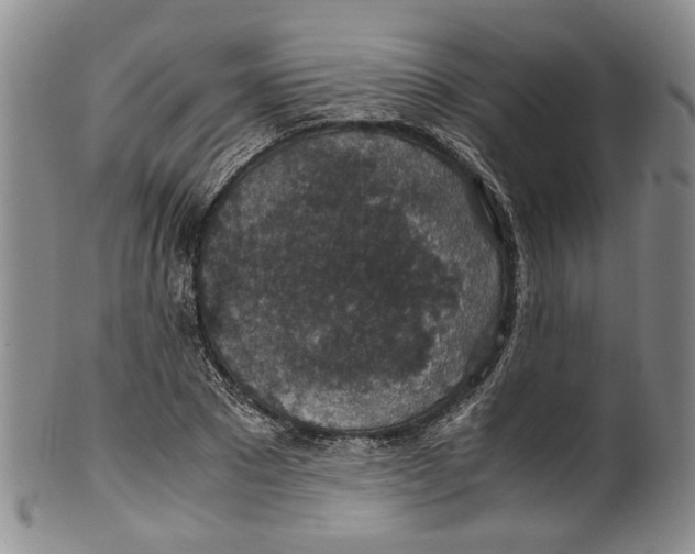 X0000100420881200806271504