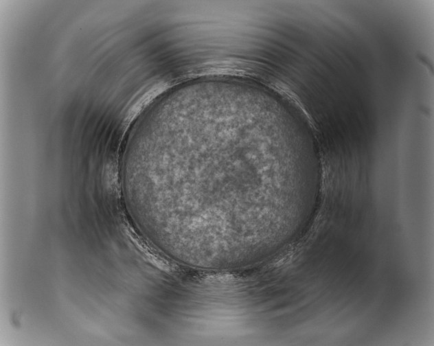 X0000100420882200806271504