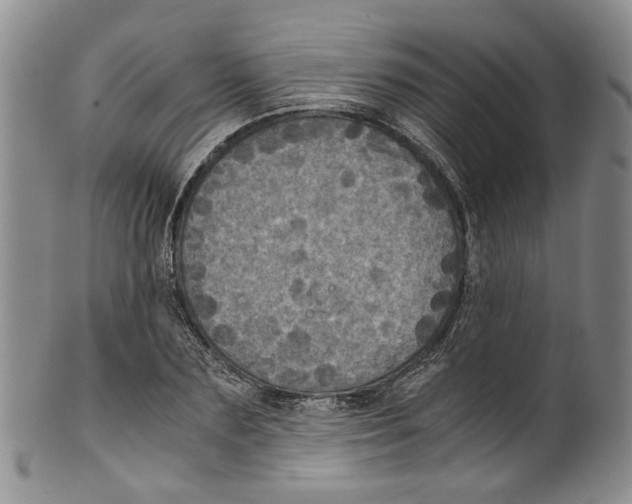 X0000100420883200806271504