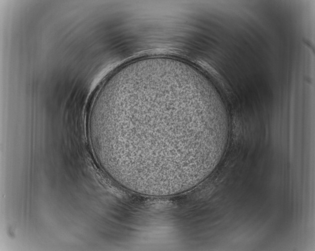 X0000100420886200806271504