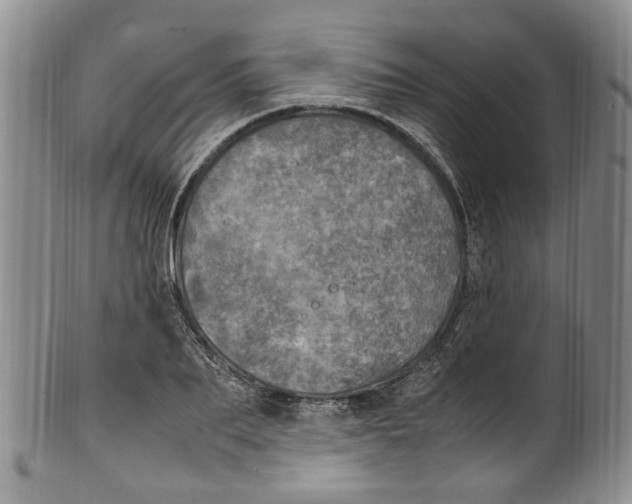 X0000100420887200806271504
