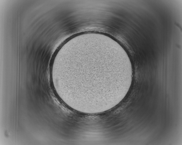 X0000100420888200806271504