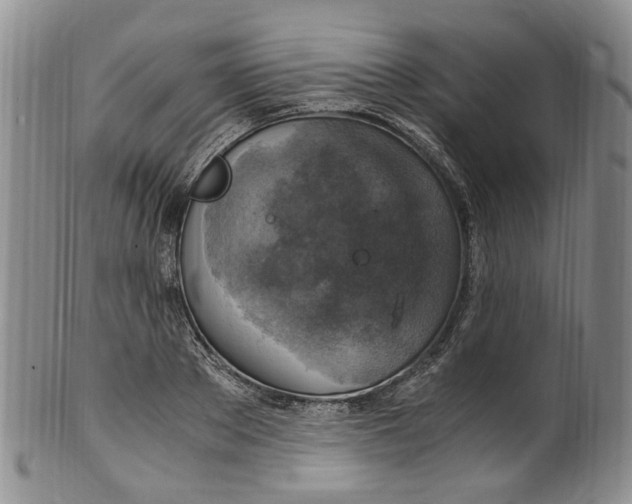 X0000100420889200806271504