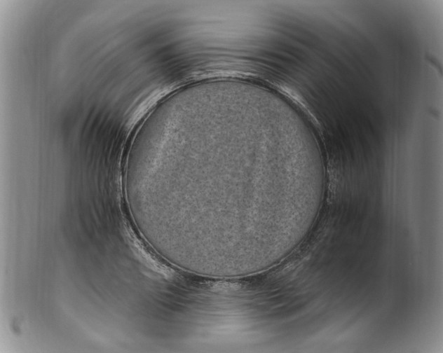 X0000100420890200806271504