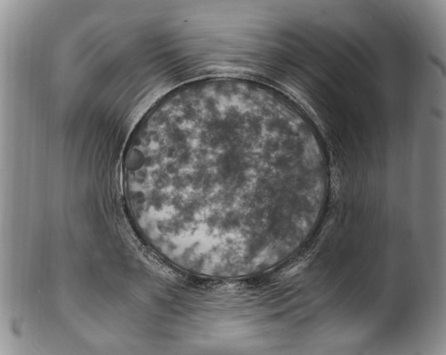 X0000100420891200806271504