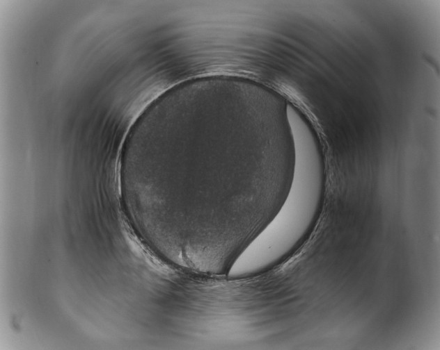 X0000100420892200806271504