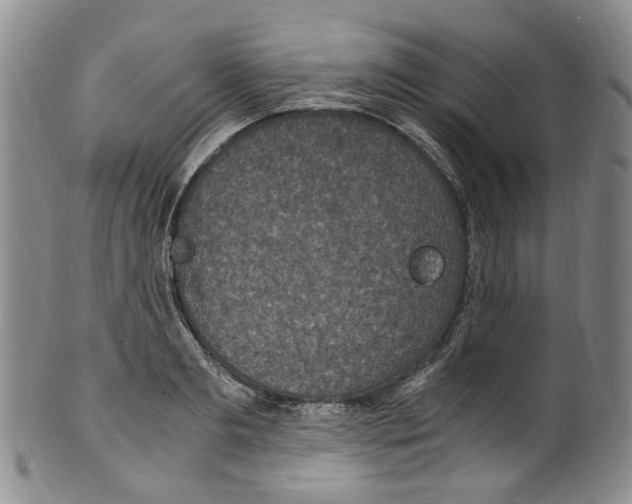 X0000100420893200806271504
