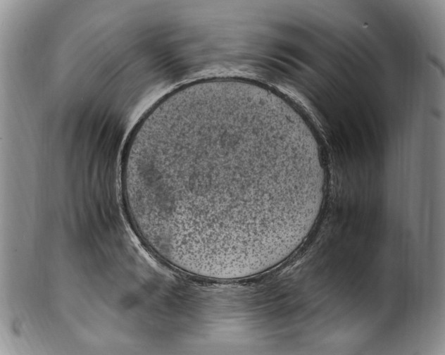 X0000100420894200806271504