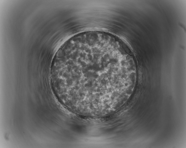 X0000100420895200806271504