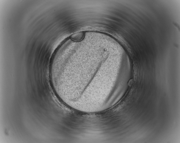 X0000100420896200806271504