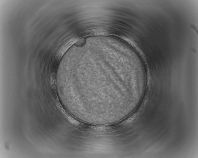 X0000100420897200806271504