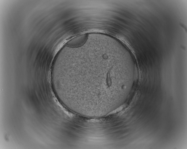 X0000100420898200806271504