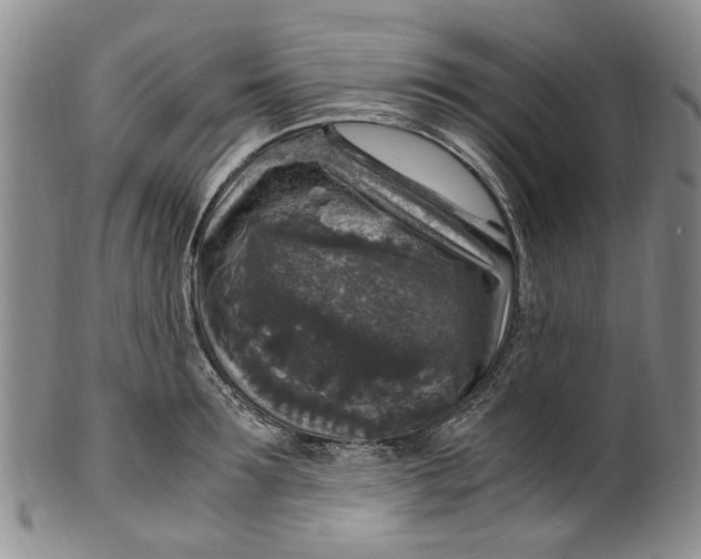 X0000100420899200806271504