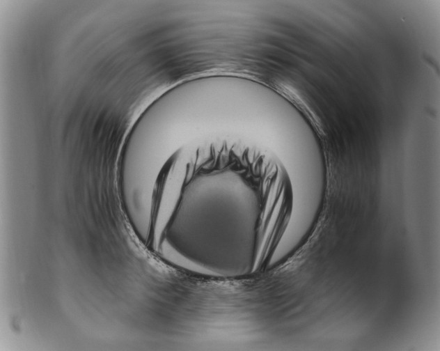 X0000100420900200806271504