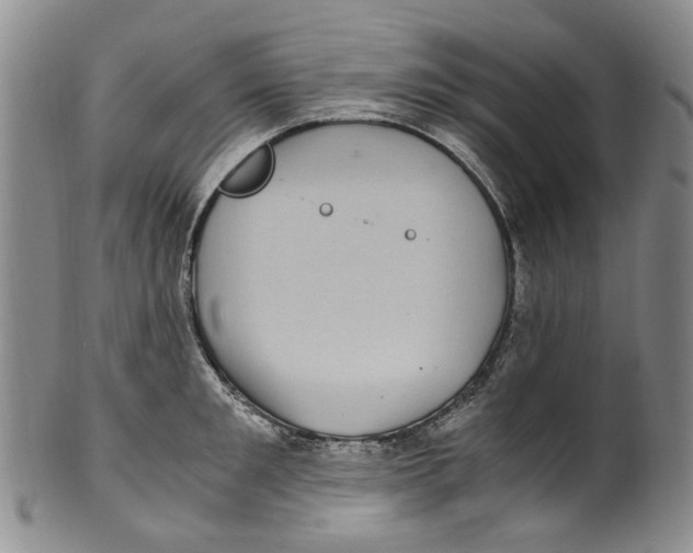 X0000100420901200806271504