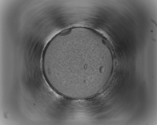 X0000100420902200806271504