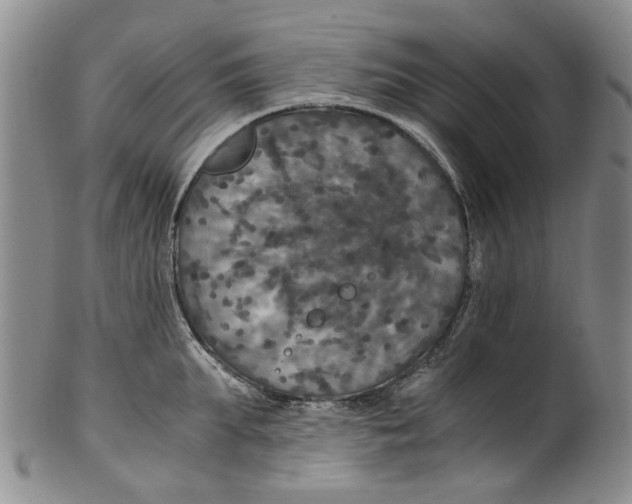 X0000100420903200806271504