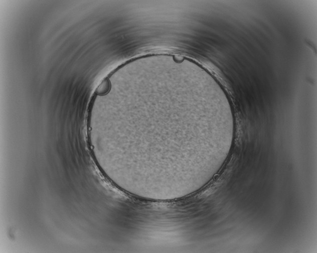 X0000100420904200806271504