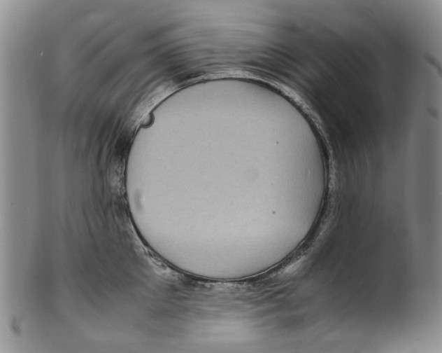 X0000100420905200806271504