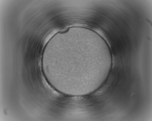 X0000100420906200806271504