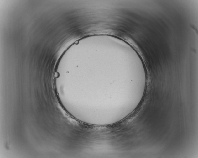 X0000100420909200806271504