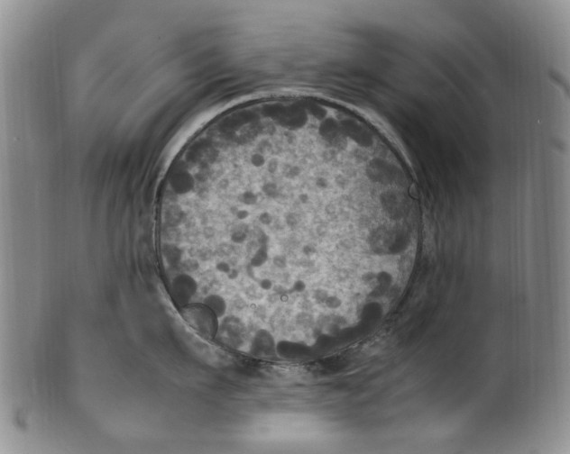 X0000100420911200806271504