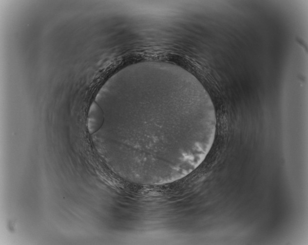 X0000100420913200806271503