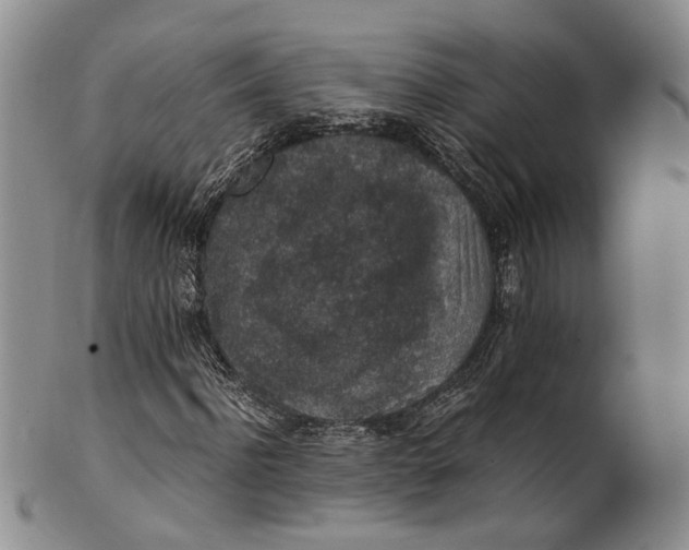 X0000100420916200806271503