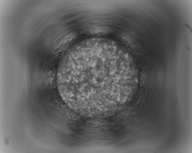 X0000100420917200806271503