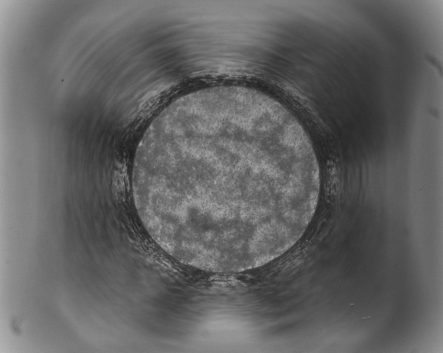 X0000100420918200806271503